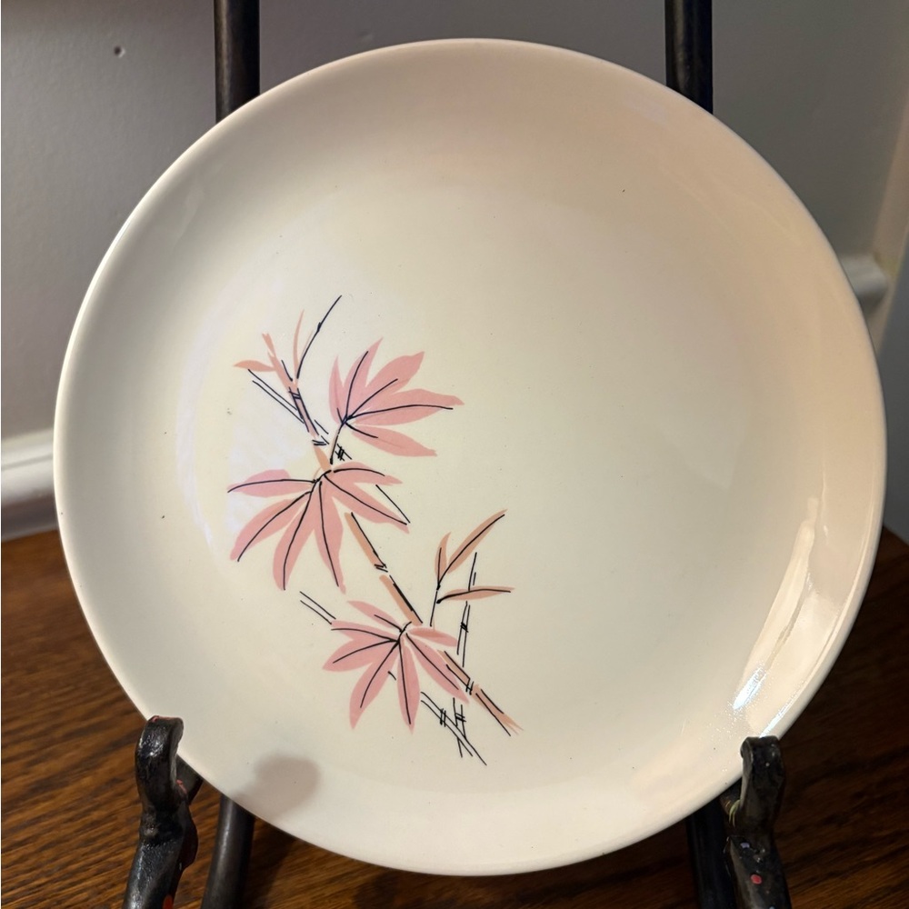 Set of 2 Salem China Company Pink Bamboo salad plates